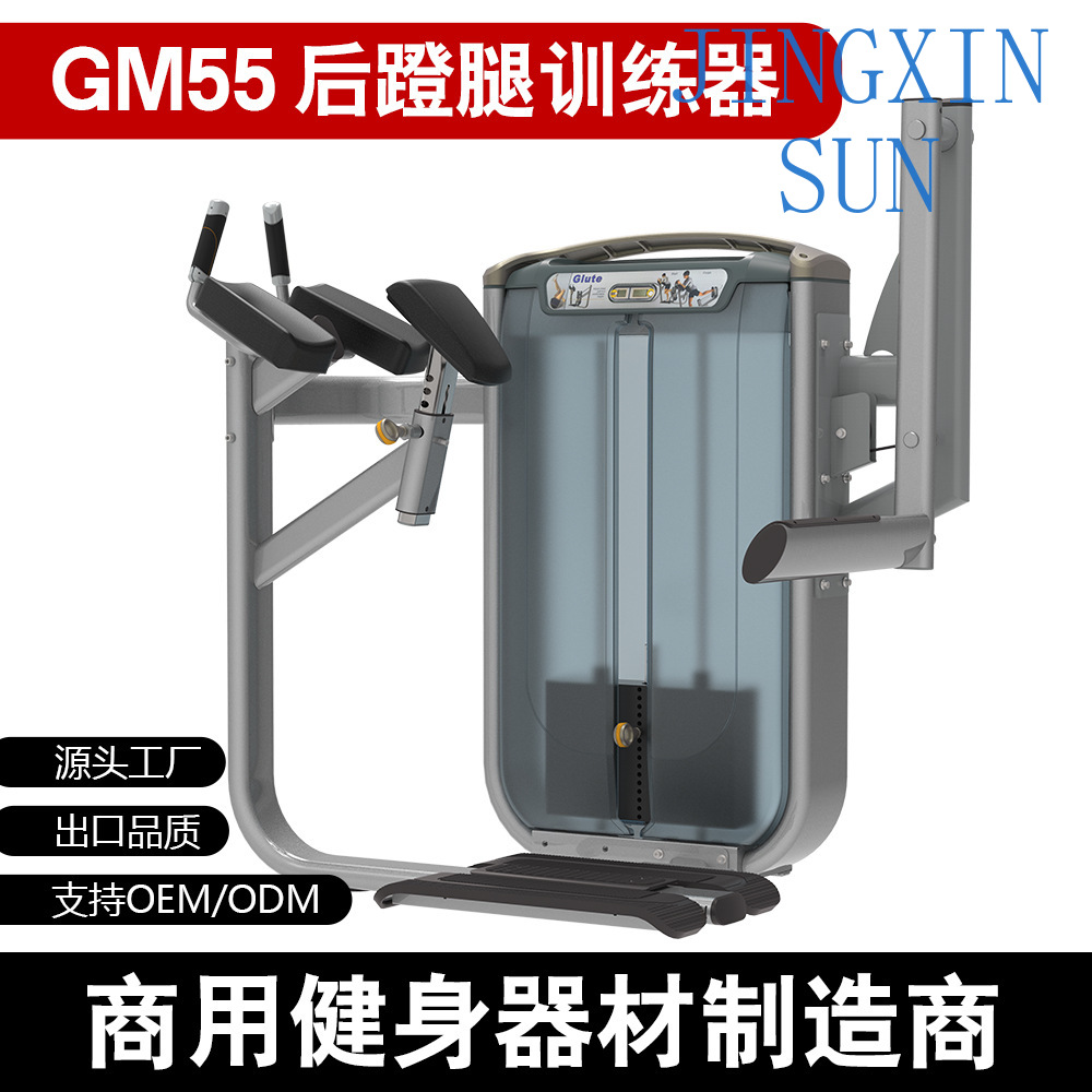 Machine commerciale de muscula - Home Gym Leg Extension Machine avis et prix