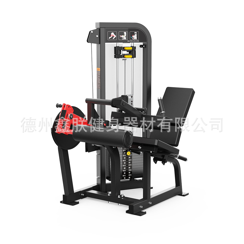 Ensemble d'équipements de musc - Home Gym Leg Extension Machine avis et prix
