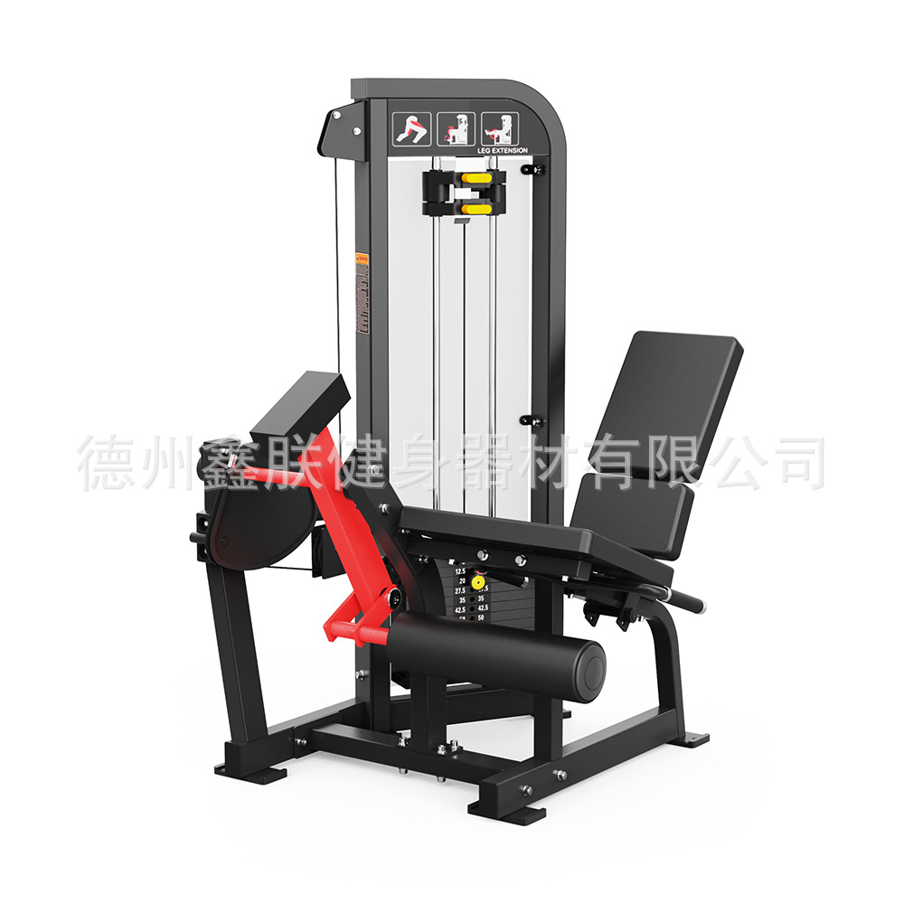 Ensemble d'équipements de musc - Home Gym Leg Extension Machine avis et prix