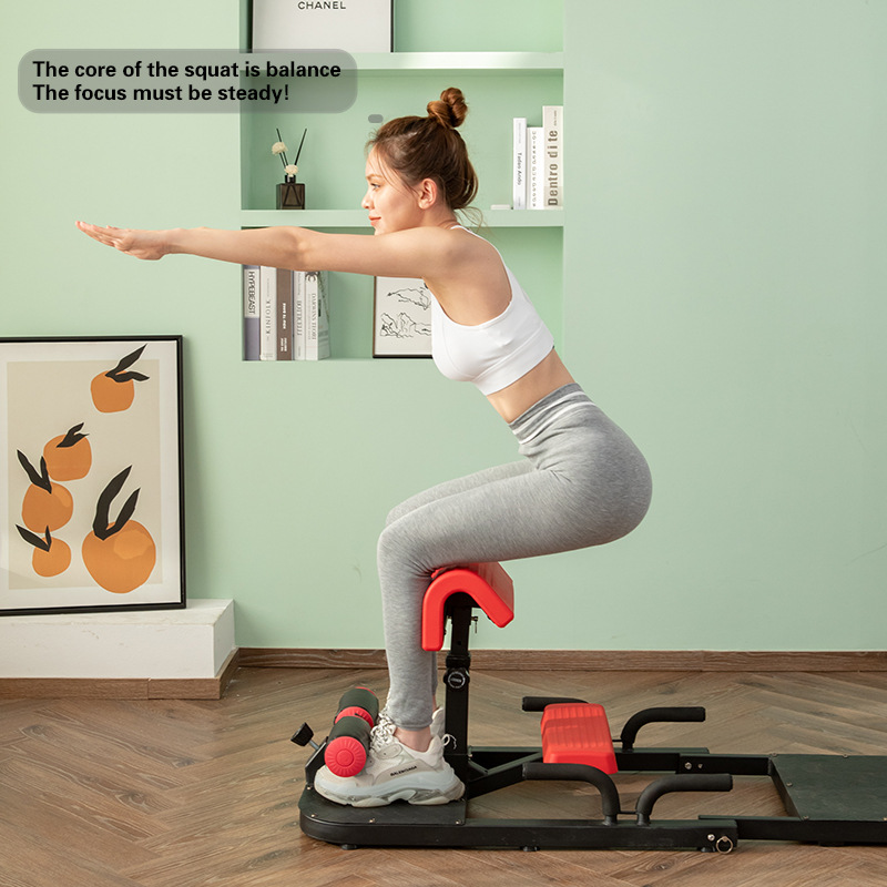 Machine à Squats Sissy 3-en-1  - Home Gym Quad avis et prix